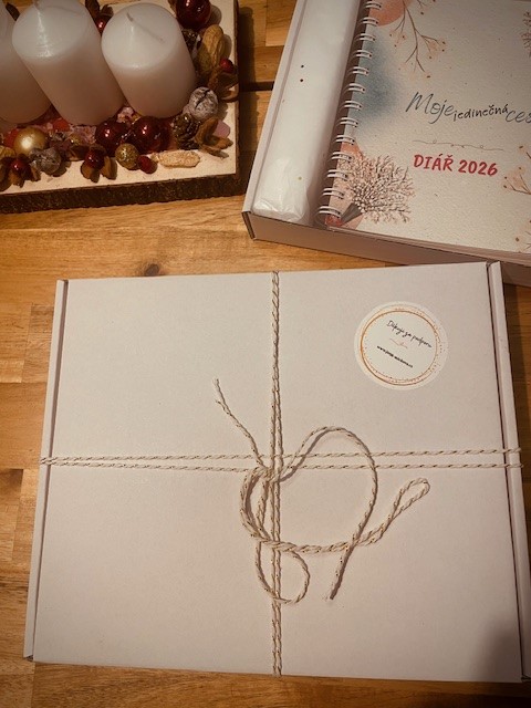 KOUČOVACÍ DENÍK - MOJE JEDINEČNÁ CESTA 2026 s krásnou propiskou 🖍. Věnujte sobě nebo svým blízkým smysluplný dárek 🎁.